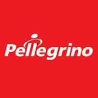 Pellegrino