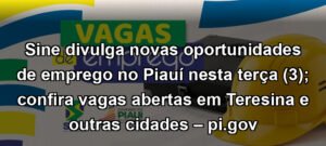 Sine divulga novas oportunidades de emprego no Piauí nesta terça (3); confira vagas abertas em Teresina e outras cidades – pi.gov