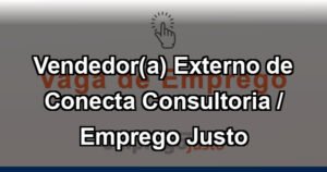 Vendedor(a) Externo de Conecta Consultoria / Emprego Justo