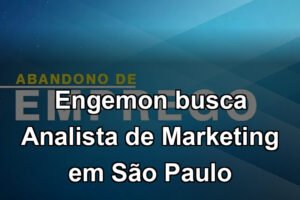 Engemon busca Analista de Marketing em São Paulo