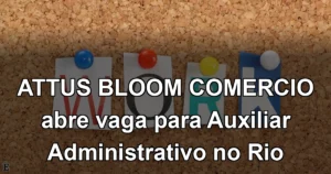 ATTUS BLOOM COMERCIO abre vaga para Auxiliar Administrativo no Rio