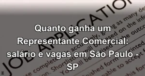 Quanto ganha um Representante Comercial: salário e vagas em São Paulo - SP