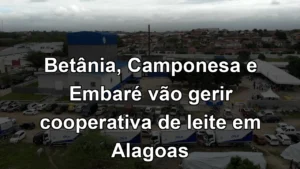 Betânia, Camponesa e Embaré vão gerir cooperativa de leite em Alagoas